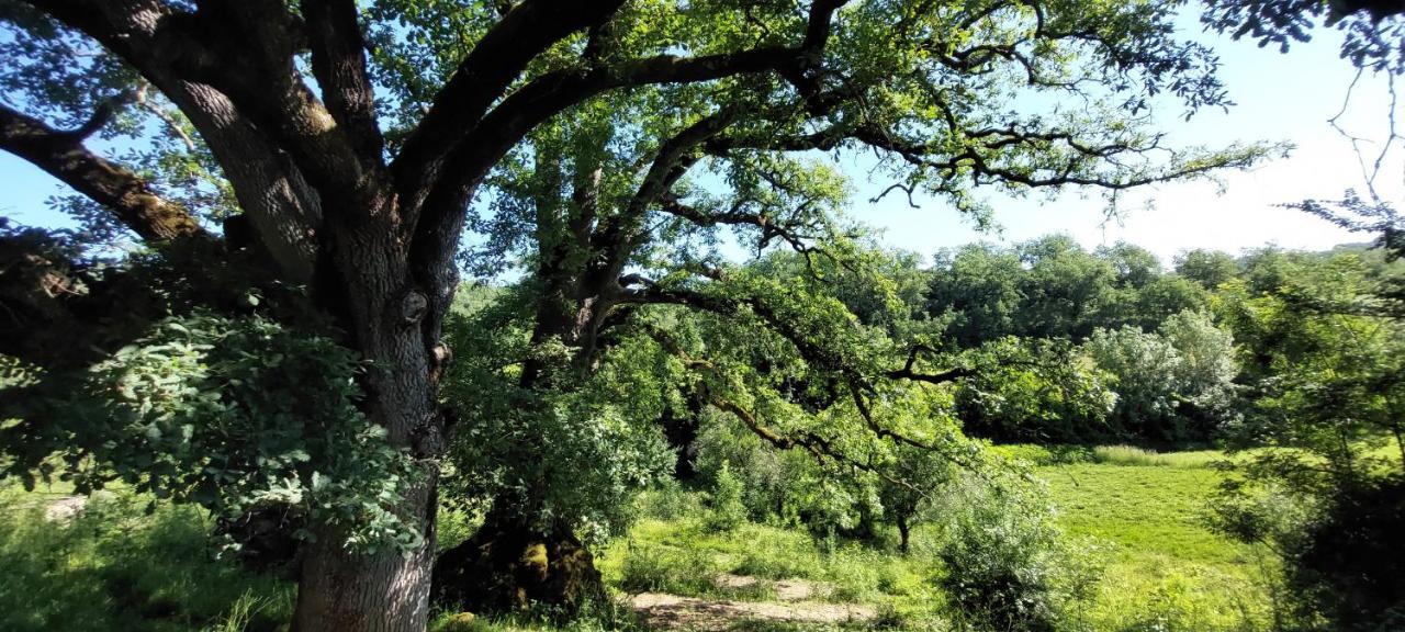 Les Gites De Campardon Monties Dış mekan fotoğraf