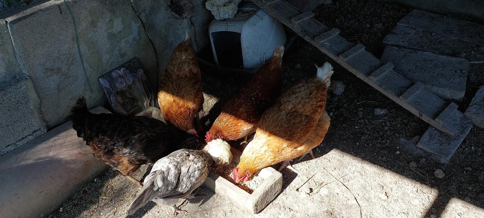 Les Gites De Campardon Monties Dış mekan fotoğraf